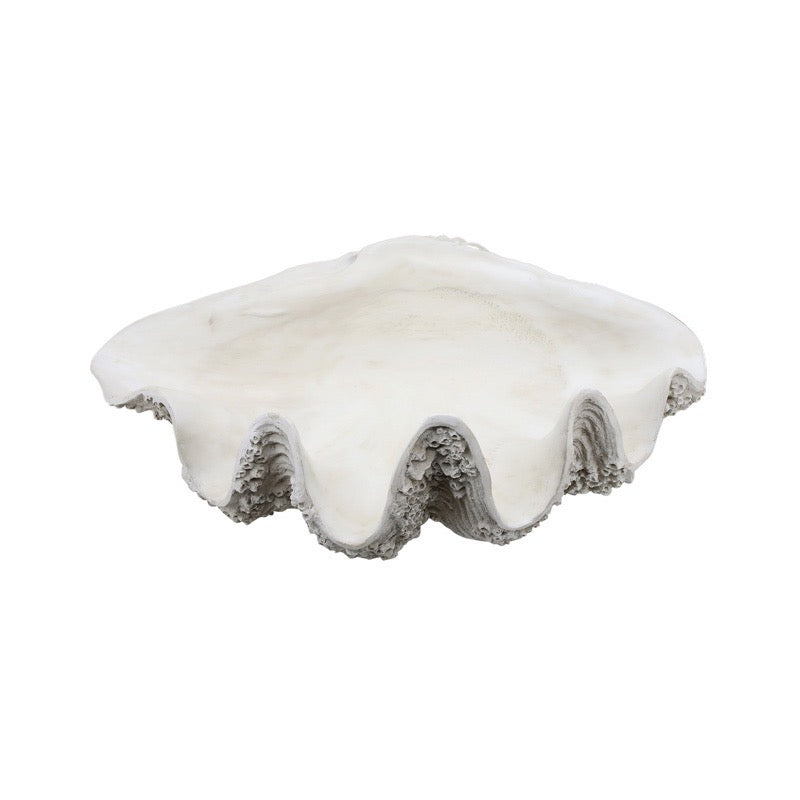 Royal Resin Shell | Natural | XX Large
