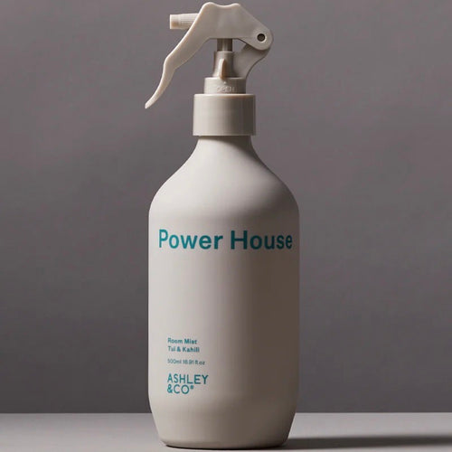 Ashley & Co | Power House | Tui and Kahili