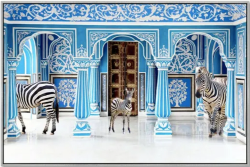 Zebra Cavas Art