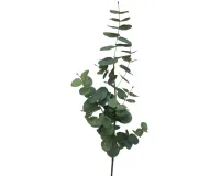 Eucalyptus Greenery | 88cm