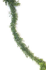 Greenery - Eucalyptus Garland 1.8m
