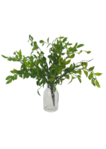 Greenery Nandina Bush - Green 35cm