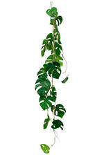 Greenery - Split Philo Garland 2m