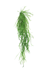 Greenery - Hanging Grass Vine 120cm