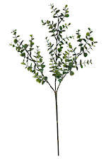 Greenery Silver Dollar - Green - 65cm