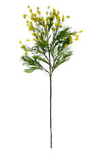 Greenery Mimosa Spray -  Yellow - 96cm